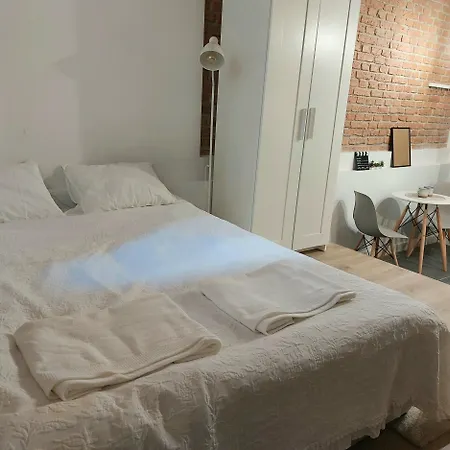 Apartament W Centrum Poznania Познань